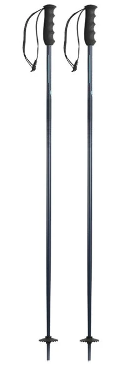 Bâton Nordica Alpine Ti Woman