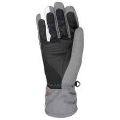 Gant Level Astra W Gore-Tex Gris -Ski Matériel Promotion Magasin ffa18465337ad2b506ad33ea6d31d43d84c8445b H23LEVEACC3343379 2