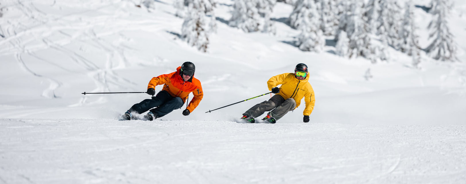 Ski Matériel Promotion Magasin 25 Ski Matériel Promotion Magasin -Ski Matériel Promotion Magasin jtj